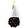 Tea Forte Orchid Vanilla Black Tea - Loose Leaf Tea Canister Photo [2]