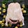 Roast Duck with New Potatoes and Peppercorn Sauce Recipe Photo [4]