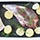 Rosemary Roasted Leg of Lamb Recipe Photo [1]