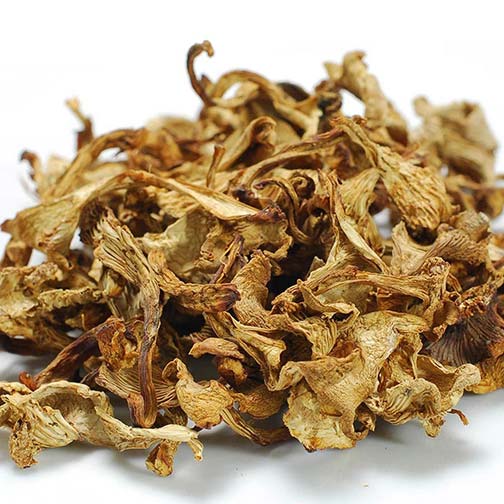 Chanterelle Mushrooms - Dried Photo [1]