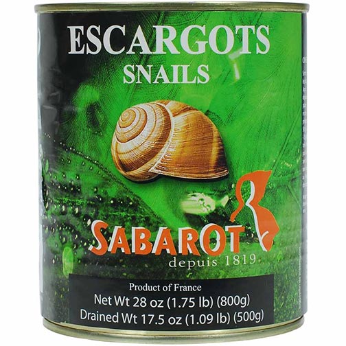 Escargot Helix Very Large in Water Photo [1]